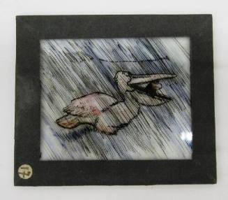 lantern slide