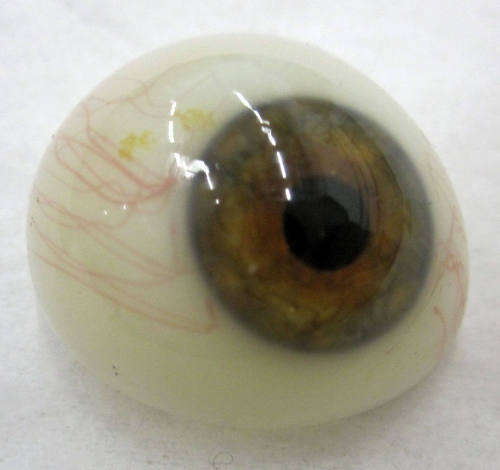 glass eye