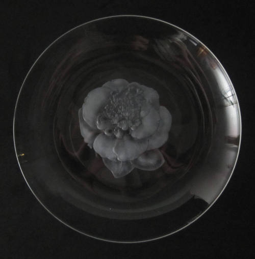 Plate with Camellia