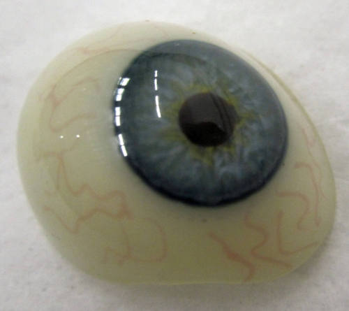 glass eye