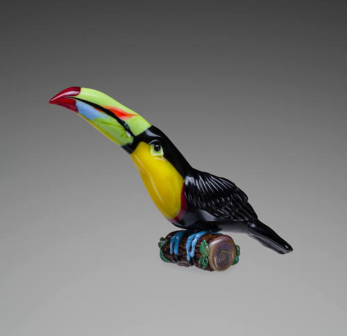 Keel-billed Toucan